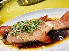 -御同亨酒楼·喜宴