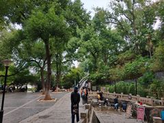 -白沙古井