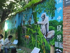-大理床单厂艺术区
