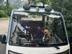 -麦当劳(北京昌金路得来速餐厅店)