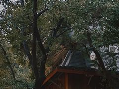 -南宋御街