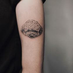 点击看大图 -極致刺青TATTOO STUDIO 私人订制