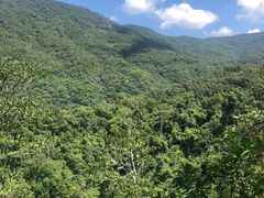 -海南霸王岭国家森林公园
