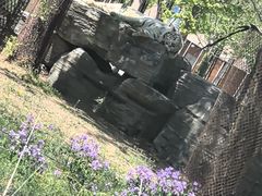-秦皇岛野生动物园