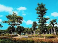 -万绿园