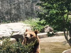 -无锡动物园·太湖欢乐园