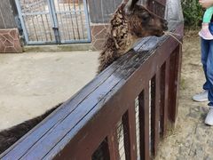 -上方山森林动物世界