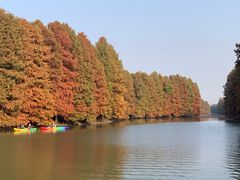 -上海海湾国家森林公园