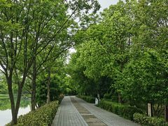 -西溪国家湿地公园