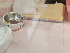 -FAELING PETS美天灵宠物(富力广场店)