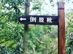 -十九峰景区-倒脱靴