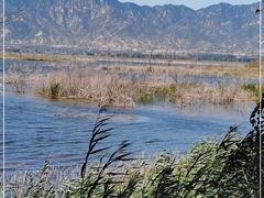-野鸭湖国家湿地公园