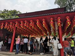 -松山湖梦幻百花洲