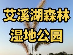 -艾溪湖湿地公园