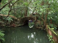 -眉山湿地公园(东坡区)