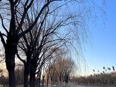 -东坝千亩湖公园