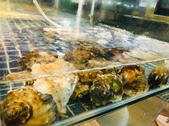 -庆余生平价生猛海鲜(海棠湾林旺夜市店)