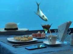 -瑞德姆美人鱼海底演艺主题餐厅(亚龙湾店)