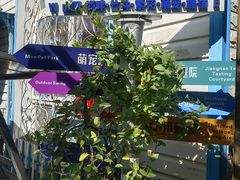 -西西里轰趴日租聚会别墅·团建拓展