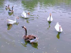 -西安秦岭野生动物园