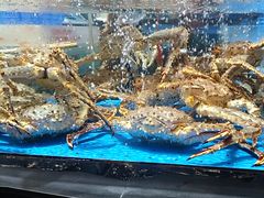 -徐记海鲜·宴会(大唐西市|丰庆店)