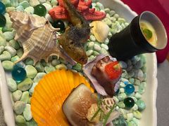 -九献创意菜·牛排馆(亮马河花园店)