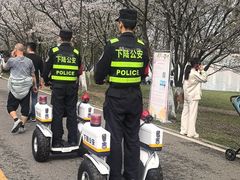 -团城山公园