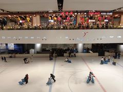 -TheRink大零溜冰场(IFS国金中心店)