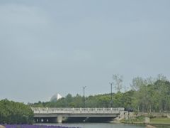 -春花秋色城市公园