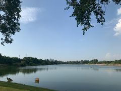-东湖落雁景区
