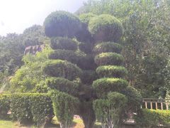 -棒棰岛宾馆景区