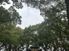 -天一阁博物院