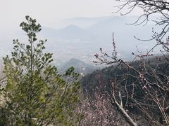 -北京鹫峰国家森林公园