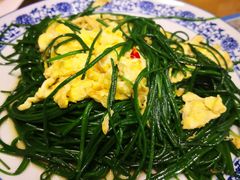 -有家驴肉黄面(敦煌店)
