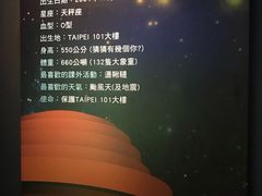 -台北101
