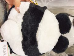 -熊猫邮局(少城店)