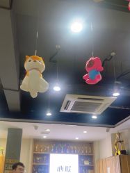 -心联形象设计·流星染