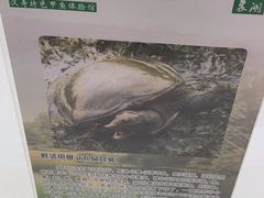 -东湖印象汉寿特色甲鱼钵子菜(渔人码头店)