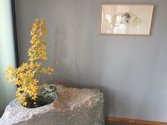 -大连大和馆观山阁温泉酒店