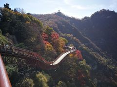 -少华山国家森林公园