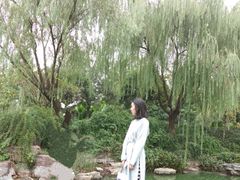 -日出青木·杭帮菜名店