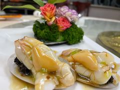 紫菜焗小象-宜兴隆家宴·私房菜(泰安华庭店)