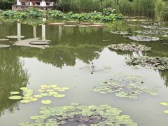 -国家植物园南园