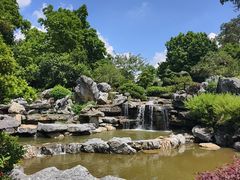 -东莞植物园