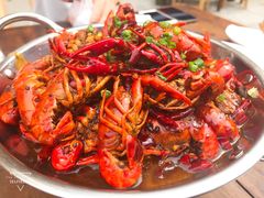 -不炭白烧烤(成都首店)