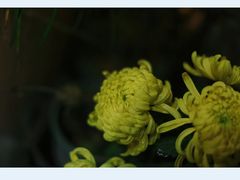 -行人小筑·茶馆(岑村火炉山分店)