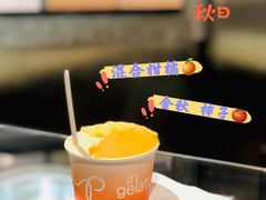 柿子-Dip in Gelato(富民路店)