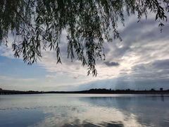 -丁香湖公园