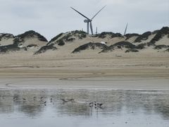 -长江澳风力发电景观区