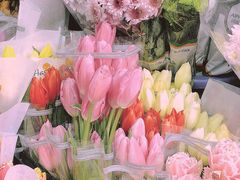 -循礼门鲜花花市(武汉循礼门店)